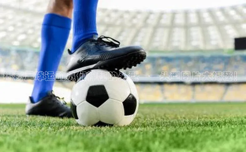 龙8官网手机登录入口颐驰 06