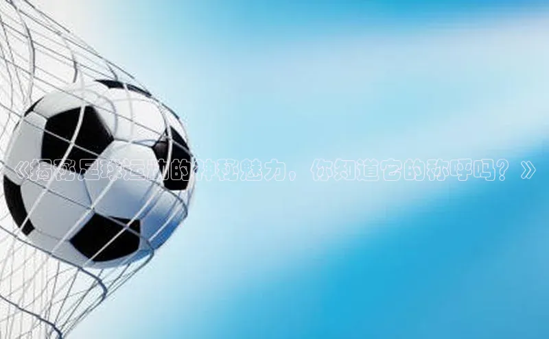 龙8-long8 long8 bet百度学术