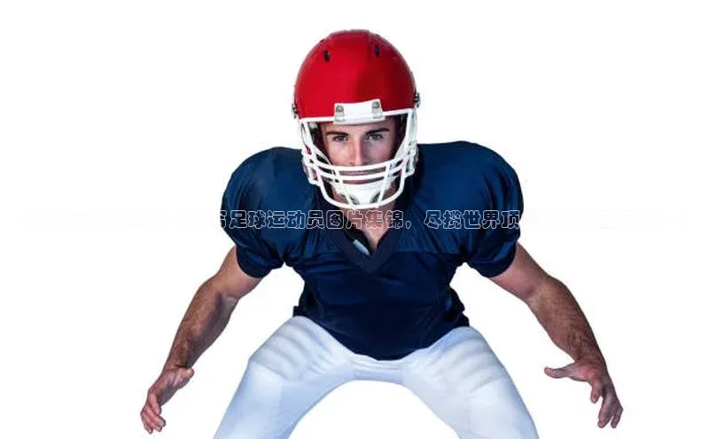 龙8网上娱乐平台中文在线