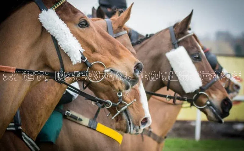 头号玩家老虎机游戏官网百度社团赞助平台