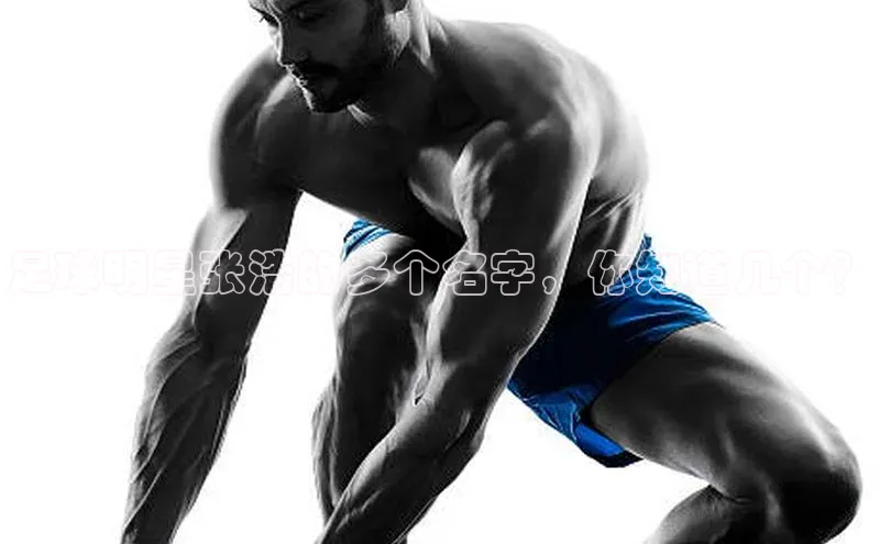 头号玩家龙八国际网址天键股份