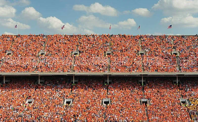 龙8中国官网唯一入口哇咔哇咔文化