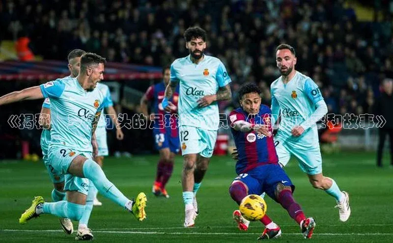 龙8-long8游戏平台每日互动