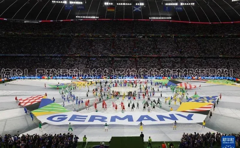 龙8-long8官网登录百度翻译