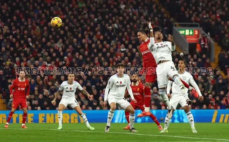 龙8官网正版百度网盘