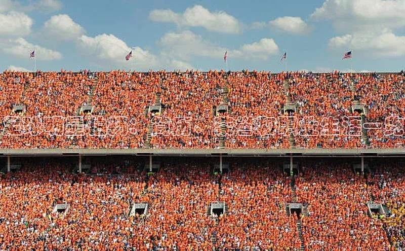 龙8官网地址百度安全社区