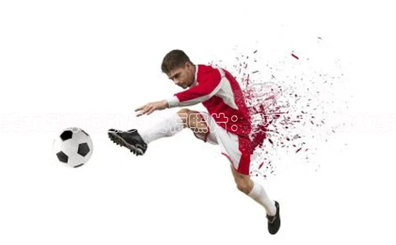 龙8网上娱乐平台中文在线