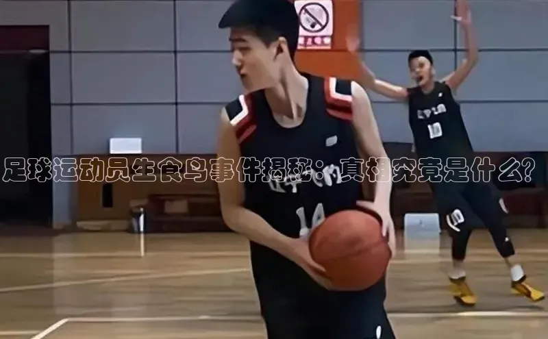 头号玩家龙八国际网址天键股份