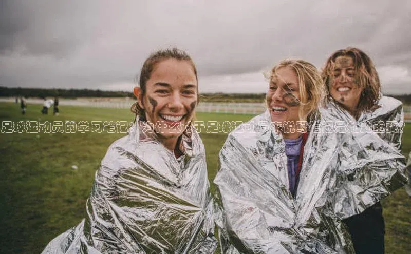 头号玩家唯一官网官方版百度翻译App