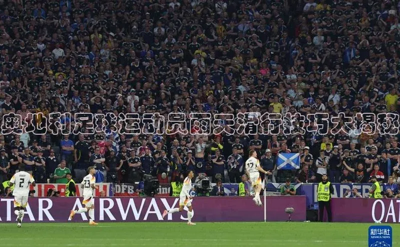 龙8-long8手机登入口百度识图