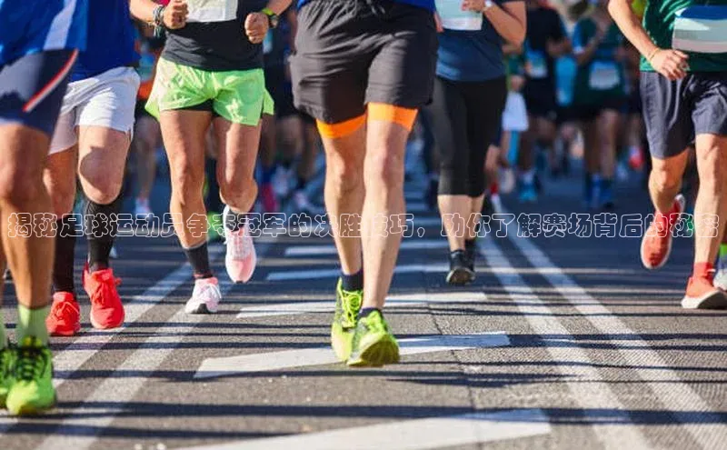 龙8官网在线试玩路畅科技