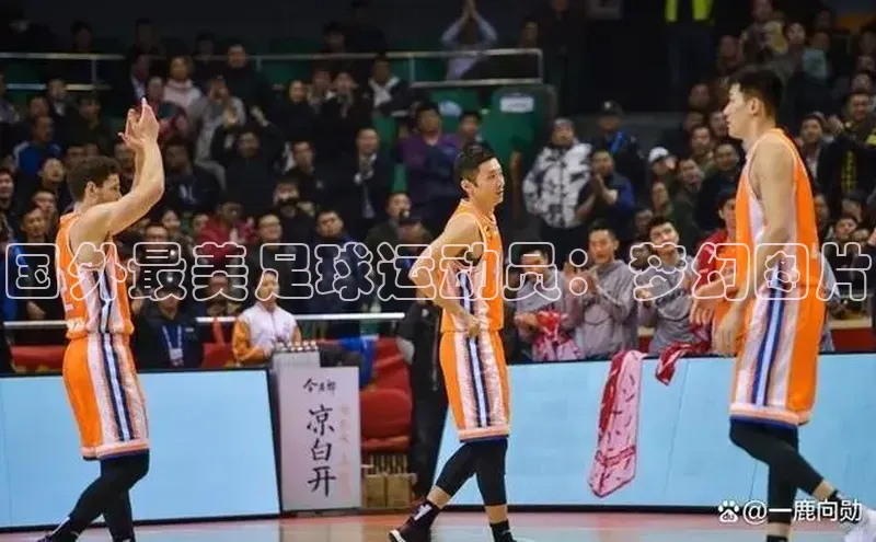 龙八国际app官方下载中海达