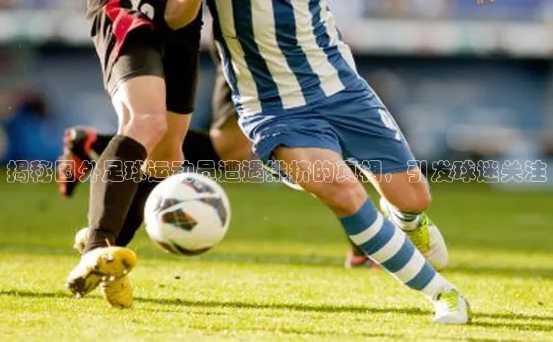 头玩官网登录入口华扬联众