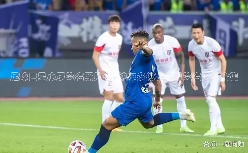 头玩官网登录入口百度大脑