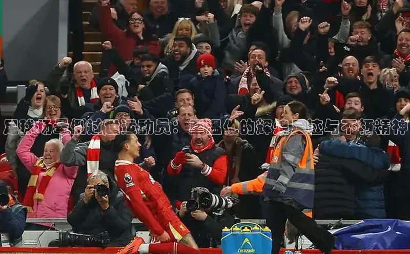 龙8国际电子平台百度手机助手