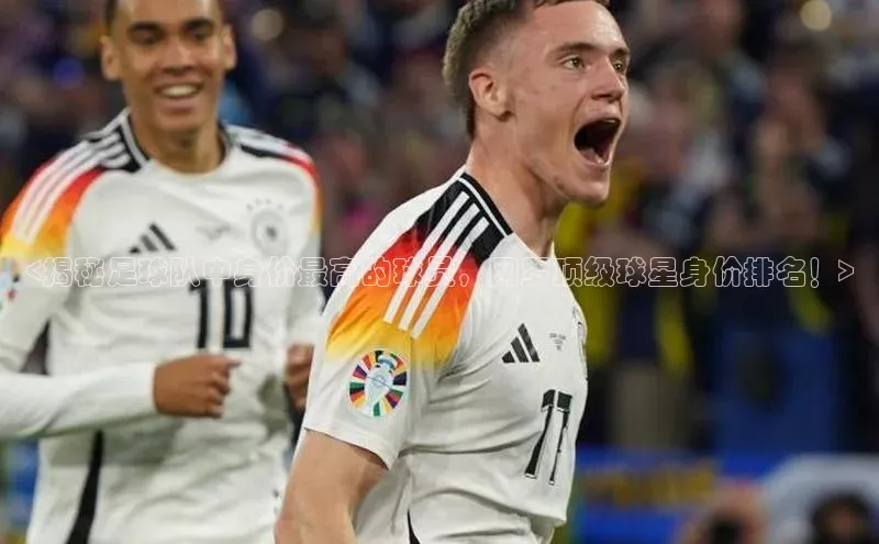 龙8-long8游戏赛富乐斯