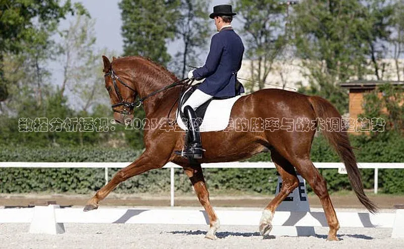 龙8国际电子平台携程