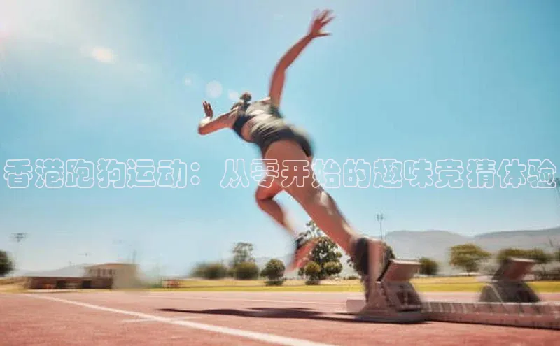 龙8国际电子平台