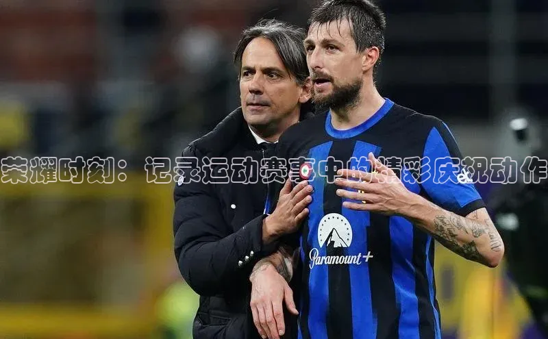 龙八国际app官方版