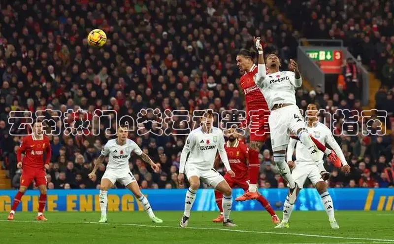 龙八国际app官方下载