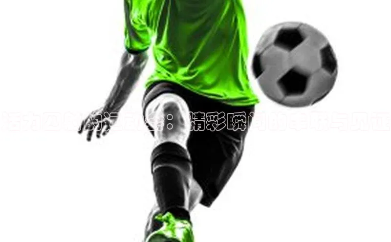 龙8官网 long8 bet