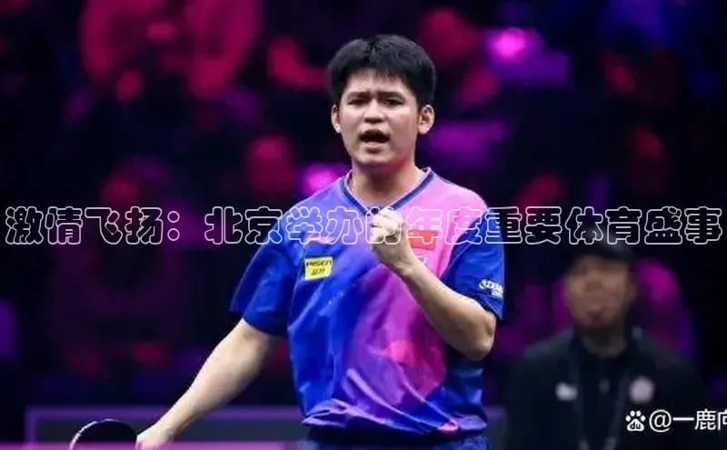 龙八国际app官网