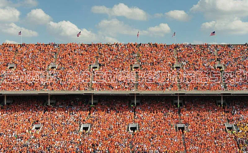 头号玩家网站官方网站下载