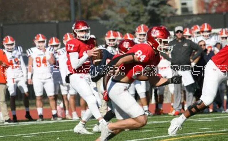 龙八国际app官方下载