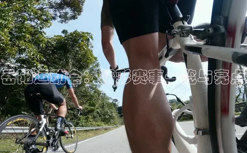 龙八国际官方唯一官网