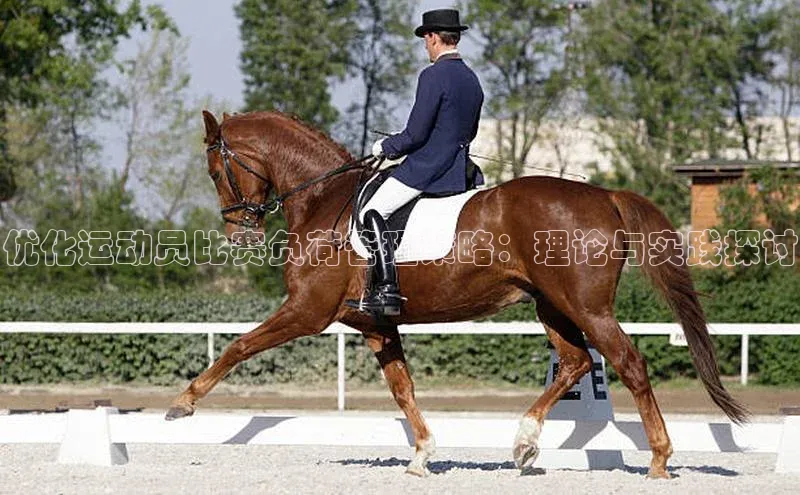 头号玩家网站官方网站下载