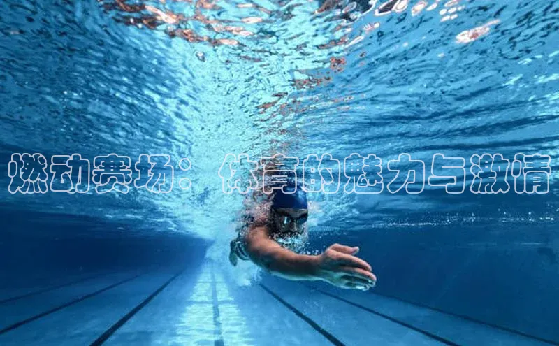 龙8唯一官方网站_首页登录下载-long8国