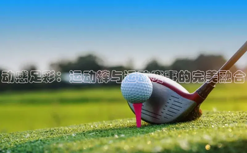 龙8官网正版